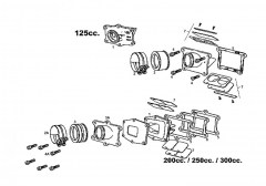 ec-mc-2t-2009-125cc-soupape-a-clapets.jpg