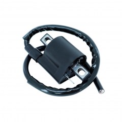 bobine-dallumage-haute-tension-rieju-50cc-mrt-rs2-rs3-170882.jpg
