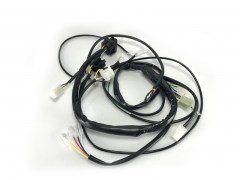 faisceau-electrique-mrt-rieju-2009-000.160.5018.jpg