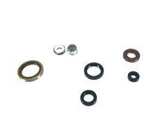 Jeu de joints spis moteur pour Gas Gas 250-300
