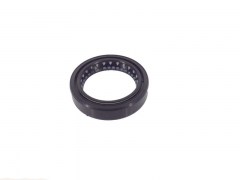 spi-fourche-rieju-37-000.890.6003.jpg